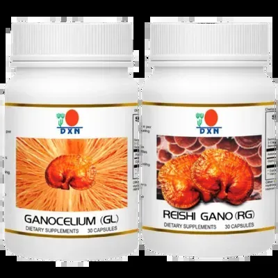Ilustración conceptual de RG (desintoxicación) y GL (equilibrio) de DXN trabajando en sinergia para apoyar el cuerpo según los principios de la Ganoterapia.